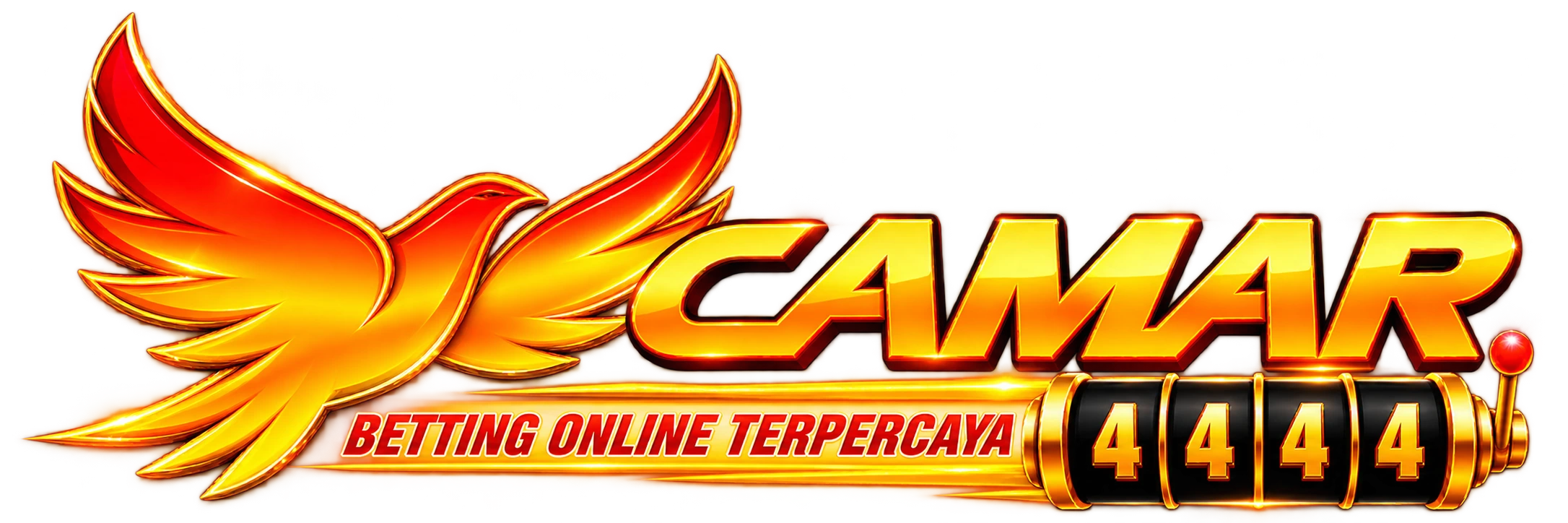 CAMAR4444
